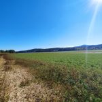Hladina Lipna je nejnižší za posledních 25 let. Z rozhledny na Dobré Vodě je krásně vidět Srdce Vltavy