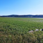 Hladina Lipna je nejnižší za posledních 25 let. Z rozhledny na Dobré Vodě je krásně vidět Srdce Vltavy