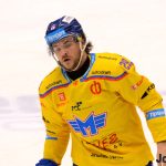 Motor před zraky vítěze Zlaté přilby porazil neoblíbený Hradec Králové. Klouček vychytal čisté konto