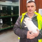 Na  výstavě chovatelů v Horní Stropnici panovala skvělá atmosféra