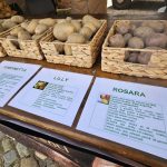 Sláva zemojablíček neupadá. Jindřichův Hradec oslavil zázrak jménem brambory