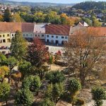 V Dačicích půjde k zemi dominantní buk na Palackého náměstí. Kořeny mu zlikvidovala houba