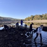 Stovky škeblí dostaly druhou šanci. Studenti pomáhali zachraňovat život ve Slapské přehradě
