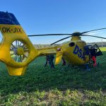 Při těžbě dřeva v lese na Táborsku zasáhl muže strom