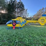 Při těžbě dřeva v lese na Táborsku zasáhl muže strom