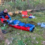Při těžbě dřeva v lese na Táborsku zasáhl muže strom