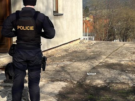 Pokus o vraždu v Prachaticích. Žena napadla známého ve spánku