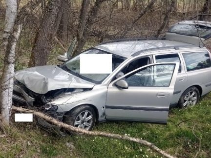 Řidič na Prachaticku narazil autem do stromu. V nemocnici skončila žena a dítě