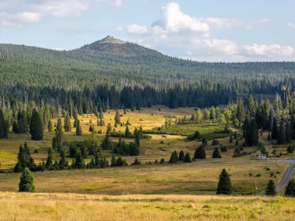Šumava jako světově uznávaný národní park? Je k tomu blízko