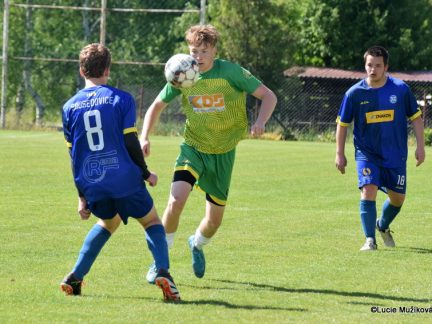 Dorostenci Čížové kráčejí za mistrovským titulem