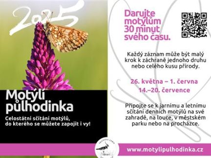 Zapojte se do akce motýlí půlhodinka, vyzývá obyvatele město Písek