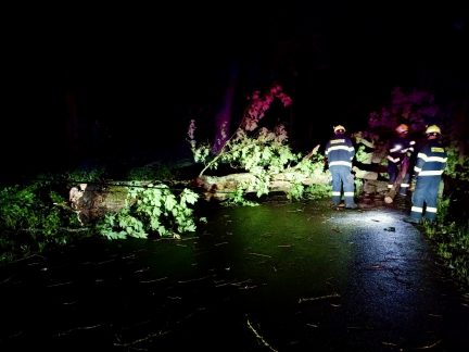 Jihočeským krajem se prohnala bouřka. Na Písecku se opřel strom o dům, na Prachaticku jsou lidé bez elektřiny