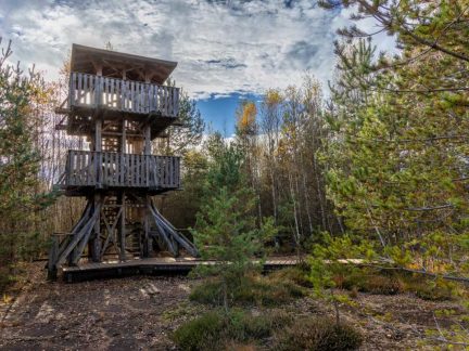 Na Soumarském rašeliništi vyroste nová rozhledna. Nahradí současnou v havarijním stavu