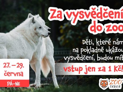 Táborská zoo opět odměňuje školáky, za vysvědčení získají o víkendu vstup za jednu korunu