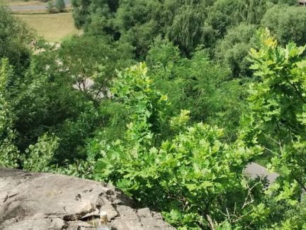 Opilá žena oznámila, že skočí v Táboře ze skály