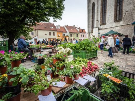 Příprava festivalu omezí sobotní trhy v Budějovicích