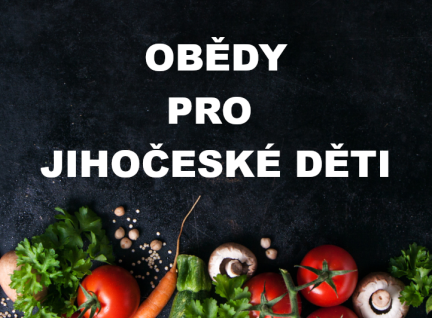 Rodiny mohou opět žádat Jihočeský kraj o příspěvek na školní stravování dětí