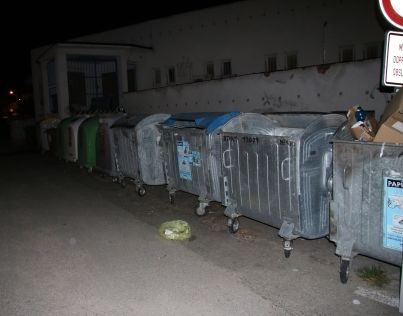 V Prachaticích někdo vyhodil do popelnice čerstvě narozená koťata. Nepřežila, policie hledá svědky