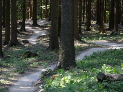 Posune stavbu trailových stezek v Píseckých horách dotace?