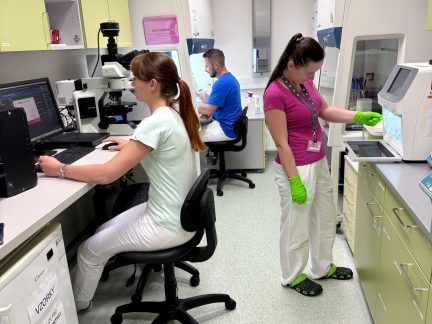 Jihočeští výzkumníci v unikátním projektu cílí na záchranu novorozenců