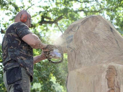 Do Hluboké nad Vltavou míří umělci. Startuje další ročník Dřevosochařského sympozia