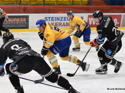 Králové si hladce poradili s univerzitními Black Dogs