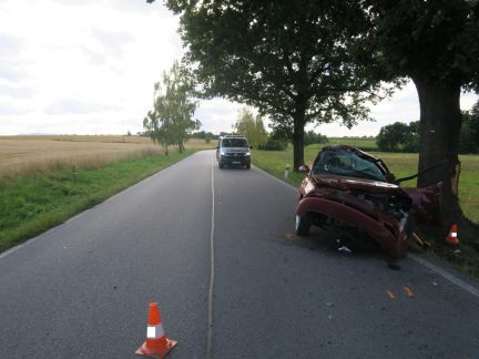 Policie hledá svědky tragické nehody, která se stala v neděli na Českobudějovicku