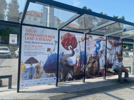 Do ulic Českého Krumlova vyjel houbobus