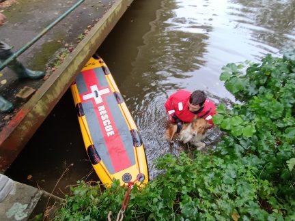 Hasiči zachraňovali psa pomocí padleboardu. Hledá se majitel