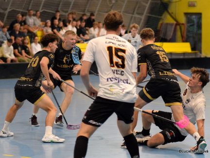 Lišky měly body nadosah, z výhry se ale radoval Hradec