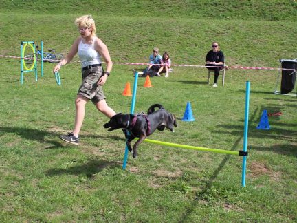 Psí den v Táboře přilákal desítky soutěžících i diváků