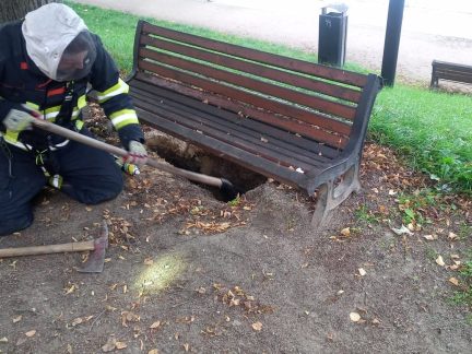 U dětského hřiště v Táboře se zabydlely vosy. Podzemní hnízdo likvidovali hasiči