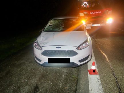 Kriminalisté hledají svědky tragické nehody na Krumlovsku