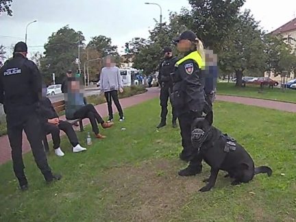 Při potyčce v Českých Budějovicích tekla krev. Musela zasáhnout městská policie se služebním psem