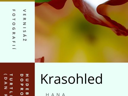 Krasohled. První výstava fotografií Hany Fleischmannové se blíží