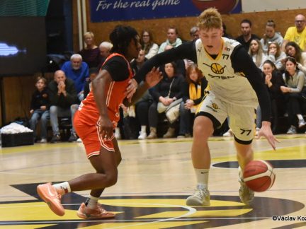 VIDEO: Sršni podali nejlepší výkon sezony – odnesly to Pardubice