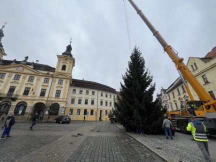 VIDEO: Na píseckém náměstí už stojí vánoční strom