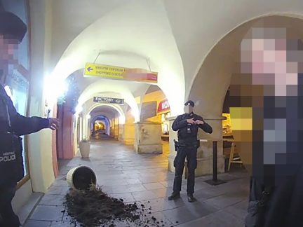 Mladému muži v Budějovicích vandalský kousek neprošel, sledovala ho městská kamera