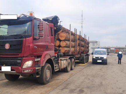 Jihočeští policisté si posvítili na přetížená nákladní vozidla