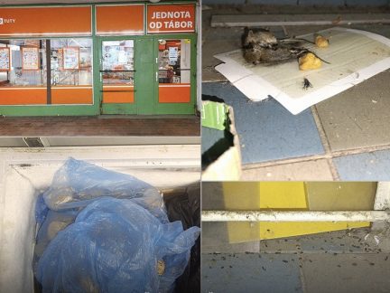 Nepořádek a myši. Inspekce uzavřela na jeden den obchod v Táboře