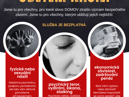 Domácí násilí v Jihočeském kraji: Roste počet vykázání i závažnost případů