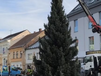 Kvůli rekonstrukci centra Strakonic ozdobí letos vánoční strom Palackého náměstí