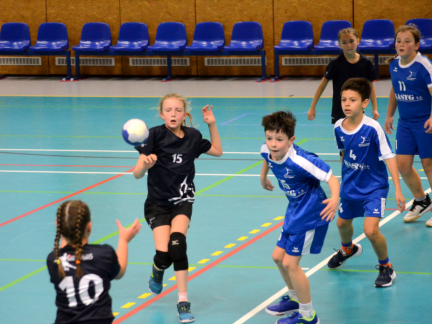 Házená: Minižákyně Milevska nestačily na budějovickou Lokádu