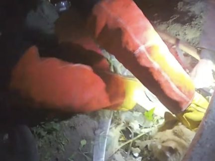 VIDEO: Kočka zalezla v Budějovicích pod betonový panel. Strážníci se museli chopit krumpáče