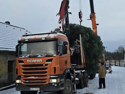 Na náměstí Míru v Jindřichově Hradci dorazil vánoční strom. Rozsvícení doplní tóny Bee Bandu