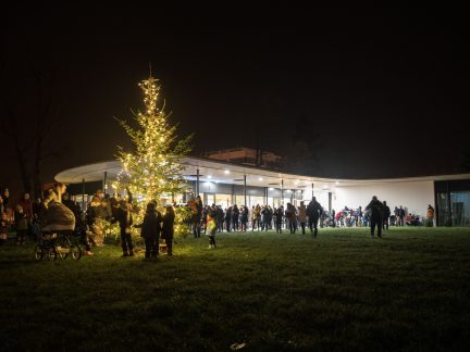 V kampusu Jihočeské univerzity se ve středu rozzáří vánoční stromek