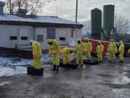 Hasiči dnes zlikvidovali další chov kachen společnosti Blatenská ryba