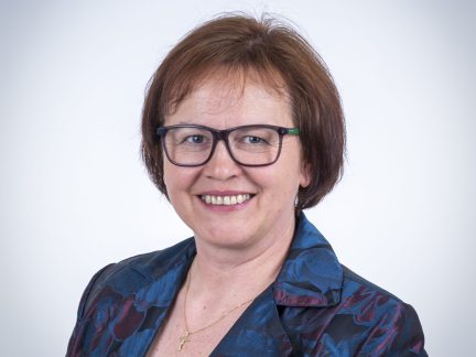 Jihočeský kraj ohrožuje ptačí chřipka. Riziko je vysoké