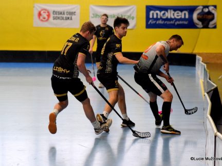 Béčko Lišek využilo domácí prostředí na sto procent