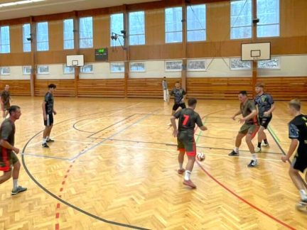 SÁLOVKA Extraliga: Bizoni překvapivým lídrem, Skalák vyztužil sestavu Netáhel